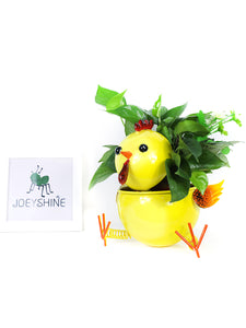 Cute Rooster Pot