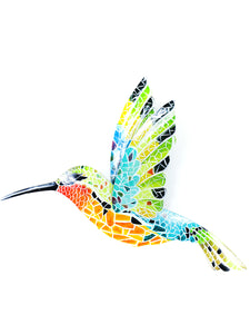 Colorful Hummingbird Wall